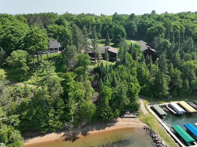 1938 Pine Cliff Rd NW, Walker, MN 56484 - drone / aerial view of a heavily wooded area