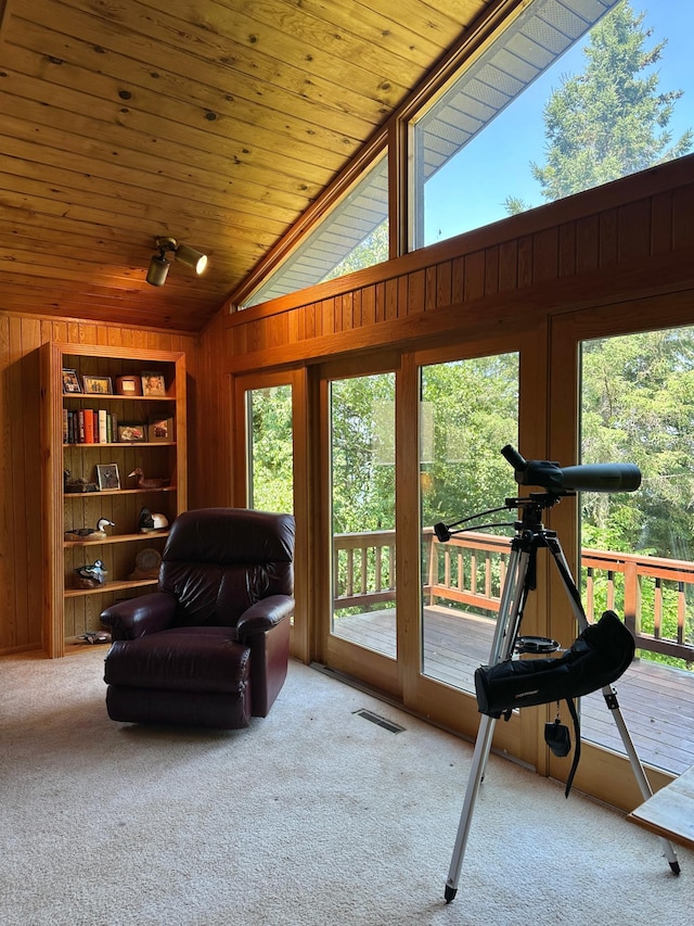 1938 Pine Cliff Rd NW, Walker, MN 56484 - sitting room featuring vaulted ceiling, wood walls, and carpet flooring