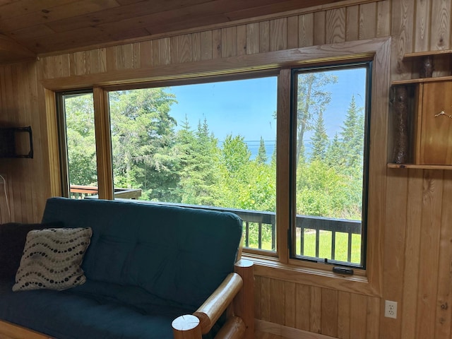 1938 Pine Cliff Rd NW, Walker, MN 56484 - living area with wooden walls and wood ceiling