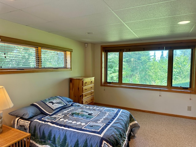 1938 Pine Cliff Rd NW, Walker, MN 56484 - bedroom with carpet flooring and a drop ceiling