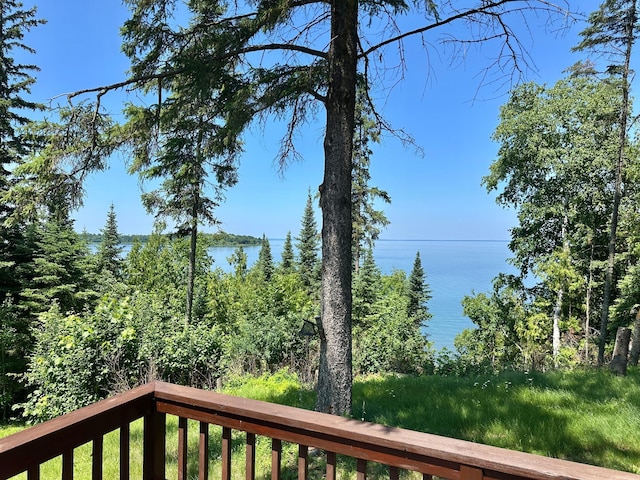 1938 Pine Cliff Rd NW, Walker, MN 56484 - water view