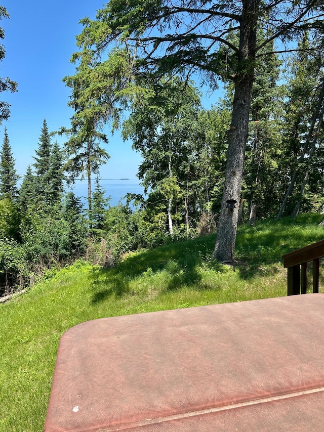 1938 Pine Cliff Rd NW, Walker, MN 56484 - view of yard