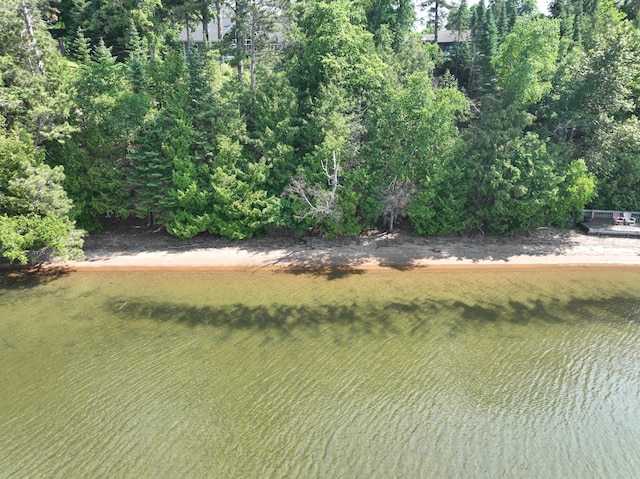 1938 Pine Cliff Rd NW, Walker, MN 56484 - water view