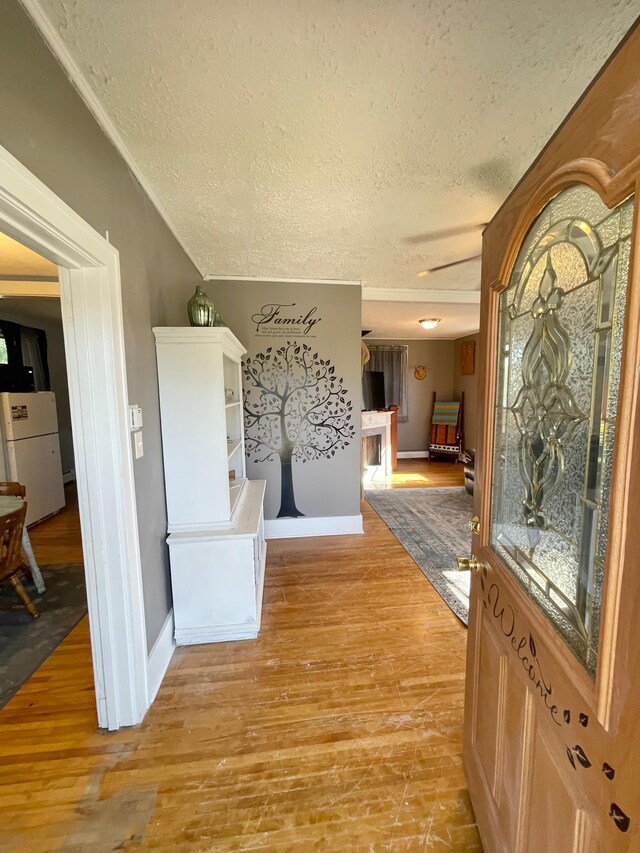 720 Central St, Springfield, MN 56087 - photo 6