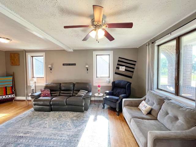 720 Central St, Springfield, MN 56087 - photo 8