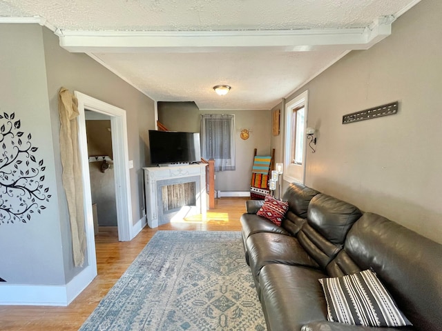 720 Central St, Springfield, MN 56087 - photo 9