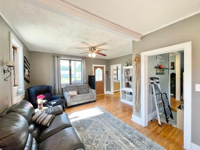 720 Central St, Springfield, MN 56087 - photo 12