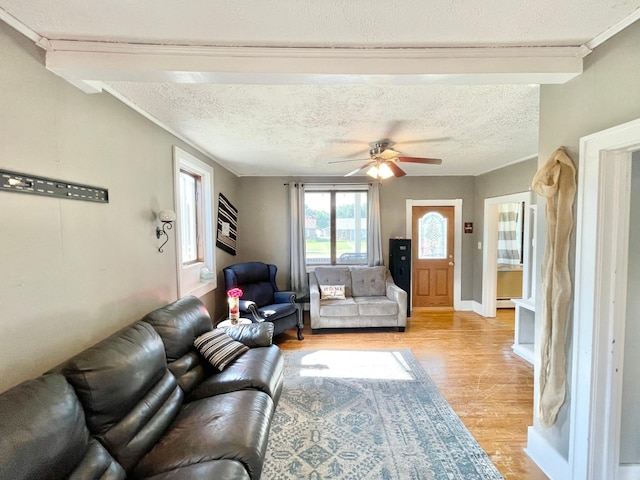 720 Central St, Springfield, MN 56087 - photo 13