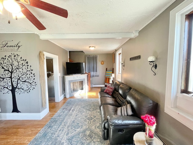 720 Central St, Springfield, MN 56087 - photo 14