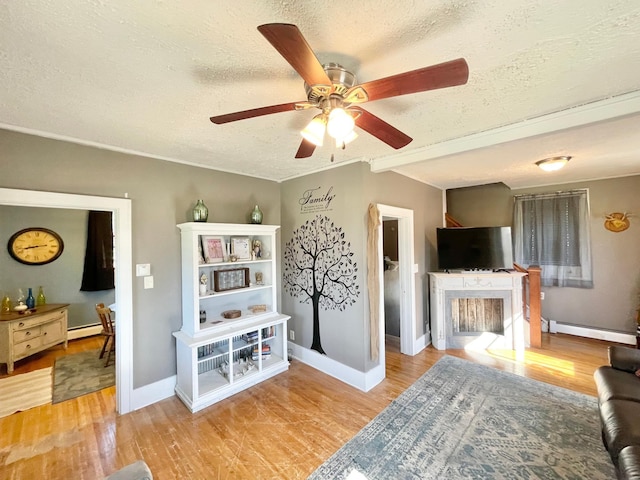 720 Central St, Springfield, MN 56087 - photo 15