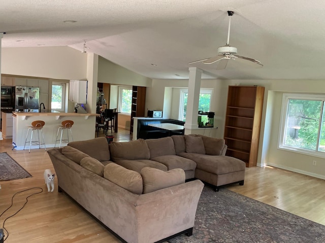 14405 Drumlin Ct, Apple Valley, MN 55124 - living area featuring light wood finished floors, vaulted ceiling, ceiling fan, and healthy amount of natural light