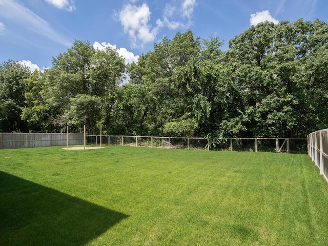 1049 Bellaire Blvd NW, Isanti, MN 55040 - view of fenced backyard