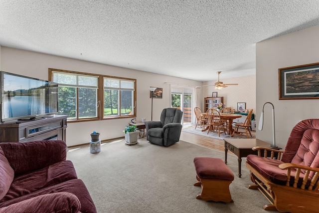 4885 262nd St, Wyoming, MN 55092 - living room with a textured ceiling, carpet, and a ceiling fan