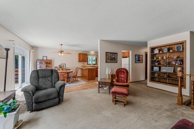 4885 262nd St, Wyoming, MN 55092 - living room featuring a textured ceiling, light carpet, and a ceiling fan