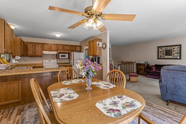 4885 262nd St, Wyoming, MN 55092 - dining space with a ceiling fan, a textured ceiling, and light wood-style floors