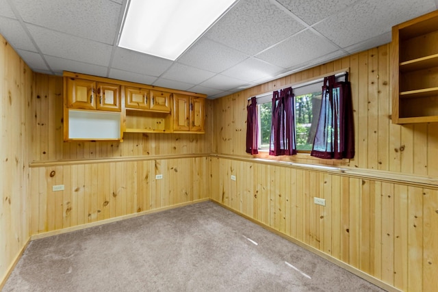 4885 262nd St, Wyoming, MN 55092 - empty room with wooden walls, carpet, and a drop ceiling