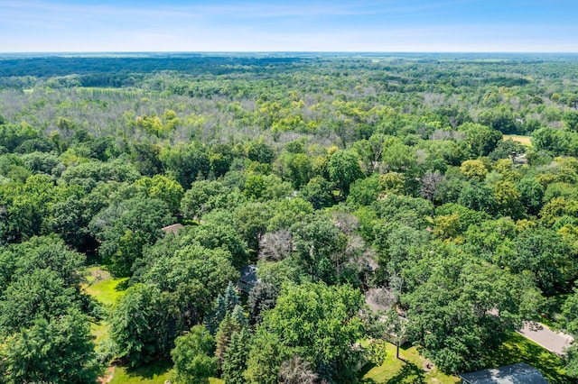 4885 262nd St, Wyoming, MN 55092 - aerial view of a forest