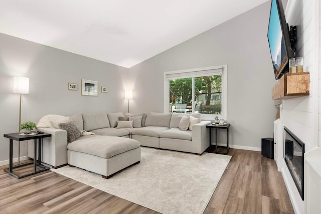 14301 Princeton Ave, Savage, MN 55378 - living area featuring light wood finished floors, a glass covered fireplace, and high vaulted ceiling