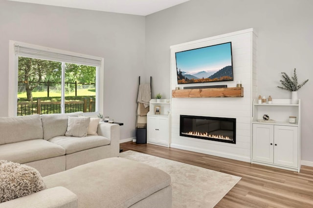 14301 Princeton Ave, Savage, MN 55378 - living room with wood finished floors and a fireplace