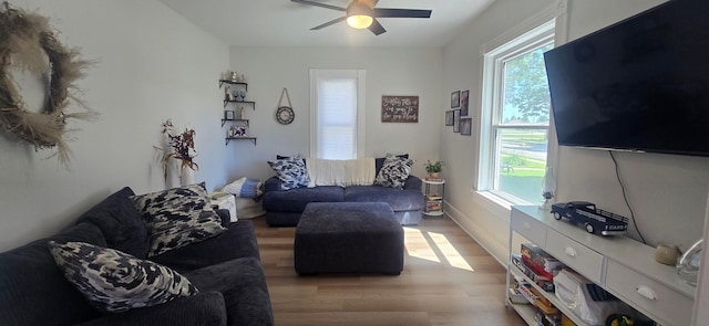 303 Main St N, Canton, MN 55922 - photo 6