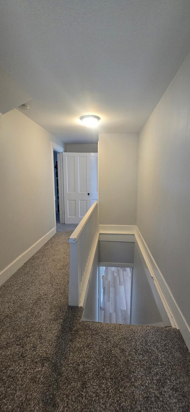 303 Main St N, Canton, MN 55922 - photo 19