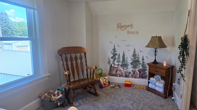 303 Main St N, Canton, MN 55922 - photo 29