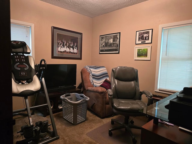 3247 Mckinley St NE, Minneapolis, MN 55418 - office featuring carpet and a textured ceiling