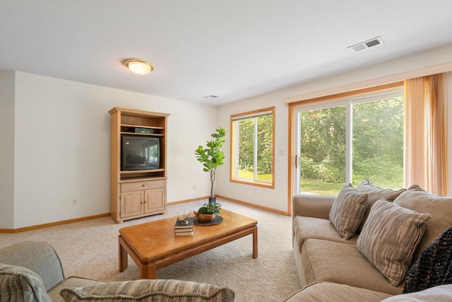 1360 Edinburgh Pl NE, Owatonna, MN 55060 - photo 33
