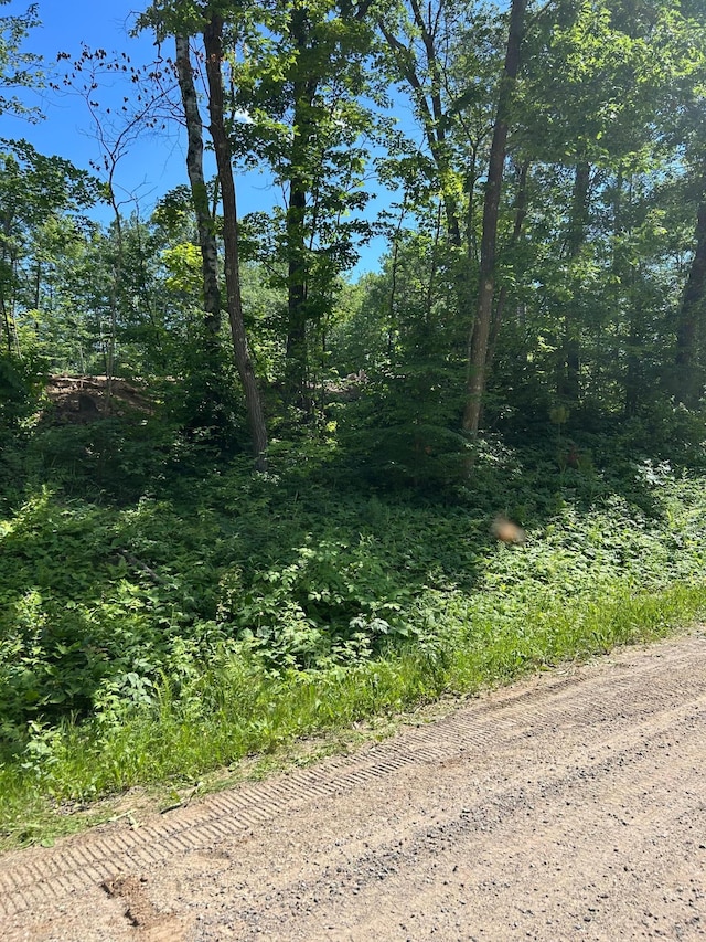 TBD Cedar Rd, Cushing, MN 56443