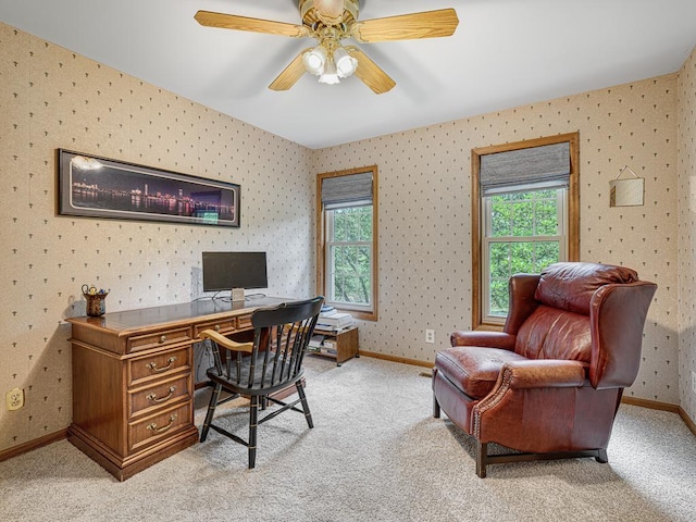 10245 183rd St W, Lakeville, MN 55044 - photo 31
