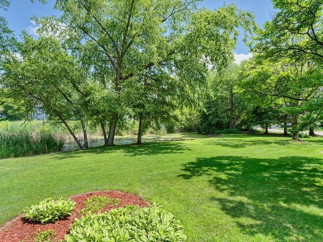 10245 183rd St W, Lakeville, MN 55044 - photo 46