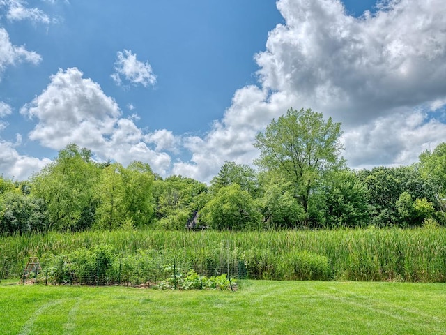10245 183rd St W, Lakeville, MN 55044 - photo 48