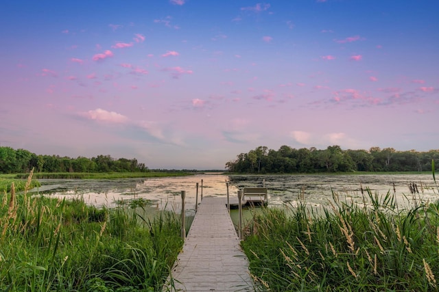 21386 Dorothy Way, Spring Lake Twp, MN 55372 - dock with a water view