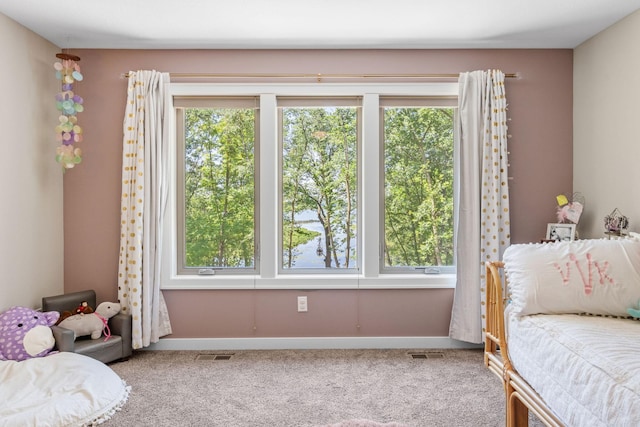 21386 Dorothy Way, Spring Lake Twp, MN 55372 - carpeted bedroom with multiple windows