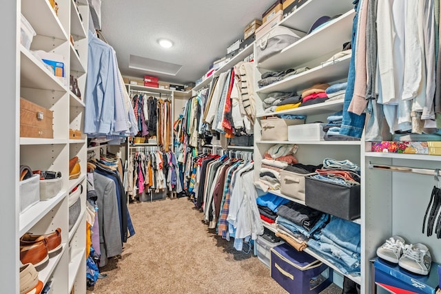 21386 Dorothy Way, Spring Lake Twp, MN 55372 - walk in closet with attic access and carpet flooring