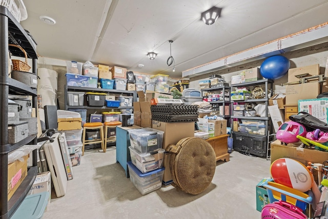 21386 Dorothy Way, Spring Lake Twp, MN 55372 - view of storage area