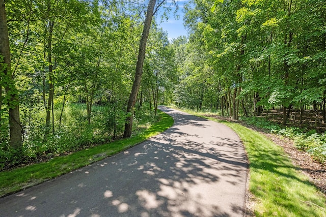 21386 Dorothy Way, Spring Lake Twp, MN 55372 - view of road with a wooded view