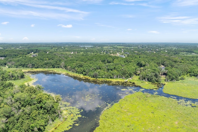 21386 Dorothy Way, Spring Lake Twp, MN 55372 - aerial view of a heavily wooded area and a nearby body of water