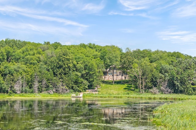 21386 Dorothy Way, Spring Lake Twp, MN 55372 - water view featuring a heavily wooded area