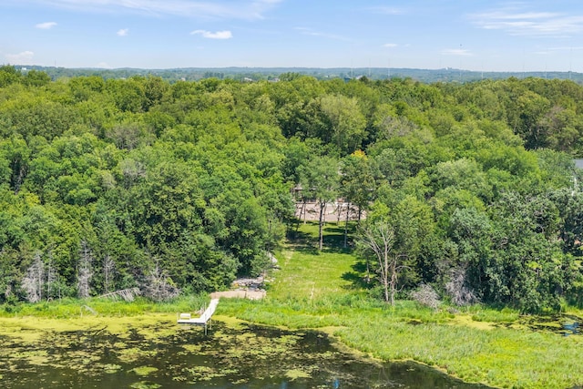 21386 Dorothy Way, Spring Lake Twp, MN 55372 - bird's eye view of a forest
