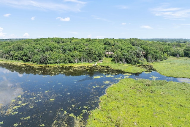 21386 Dorothy Way, Spring Lake Twp, MN 55372 - water view with a heavily wooded area