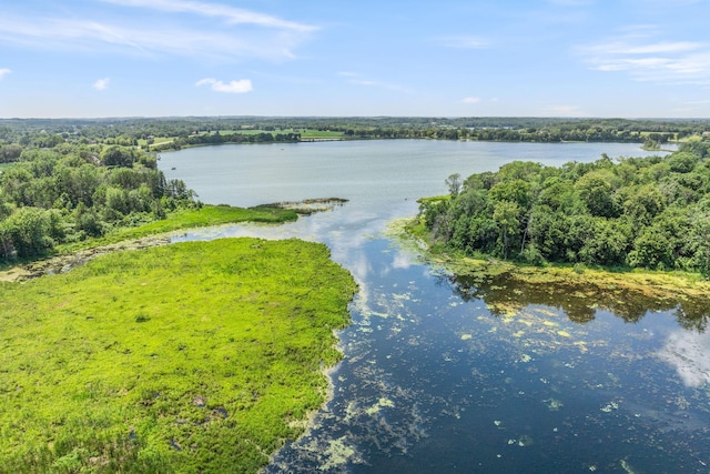 21386 Dorothy Way, Spring Lake Twp, MN 55372 - water view