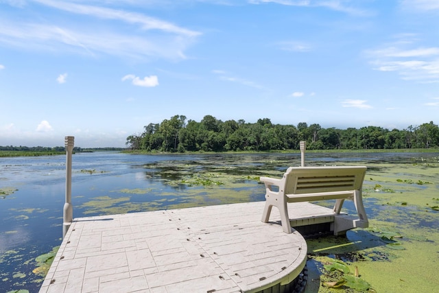 21386 Dorothy Way, Spring Lake Twp, MN 55372 - dock area featuring a water view