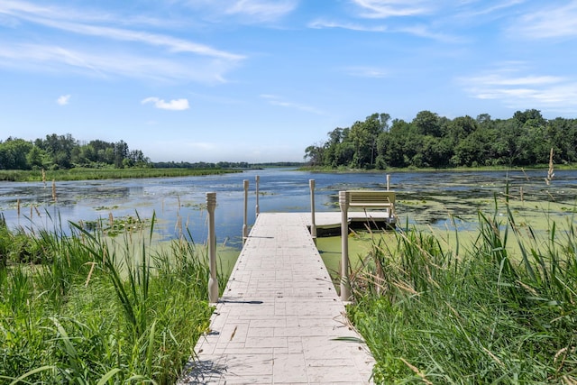 21386 Dorothy Way, Spring Lake Twp, MN 55372 - dock featuring a water view