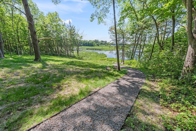 21386 Dorothy Way, Spring Lake Twp, MN 55372 - view of yard featuring a water view and a view of trees