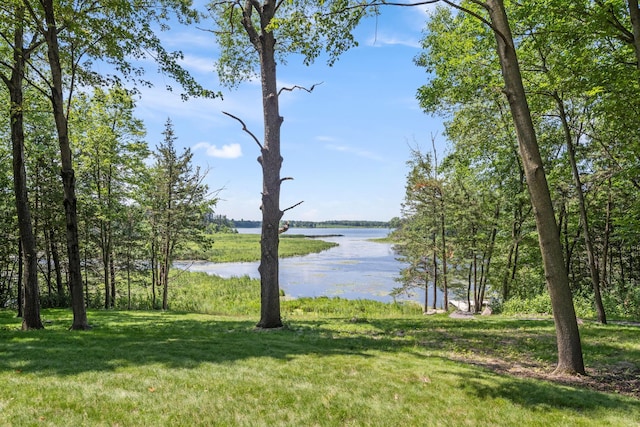 21386 Dorothy Way, Spring Lake Twp, MN 55372 - water view