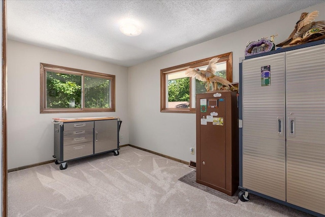 1449 30th Ave, Alden Twp, WI 54001 - photo 21