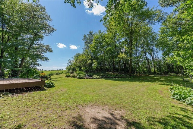 1449 30th Ave, Alden Twp, WI 54001 - photo 28