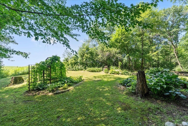 1449 30th Ave, Alden Twp, WI 54001 - photo 29