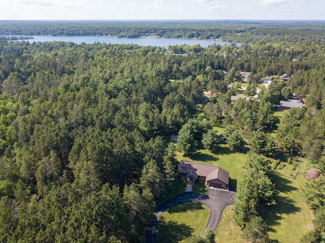 32433 Cedar St, Breezy Point, MN 56472 - aerial view of property and surrounding area featuring a forest and a large body of water